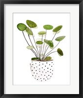 Plant in a Pot II Framed Print