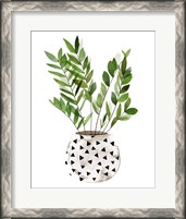 Framed 'Plant in a Pot III' border=