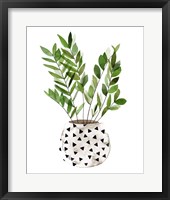 Plant in a Pot III Framed Print