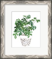 Framed 'Plant in a Pot IV' border=