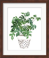 Framed 'Plant in a Pot IV' border=