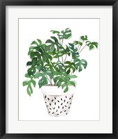 Plant in a Pot IV Framed Print