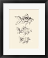Goldfish I Framed Print