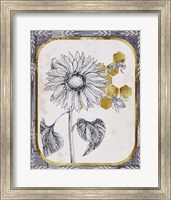 Framed 'Pursue Sweetness V' border=