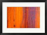 Framed Details Of Rust And Paint On Metal 5