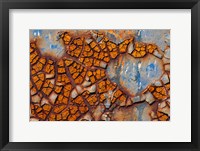 Framed Details Of Rust And Paint On Metal 25