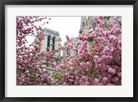 Framed Notre Dame 1