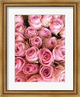 Framed Paris Petals 3