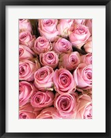 Framed Paris Petals 3