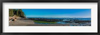 Framed Botanical Beach Panorama