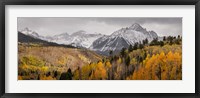 Framed Colorado, San Juan Mountains, Panoramic Of Storm Over Mountain And Forest