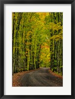 Framed Covered Road Near Houghton, Michigan