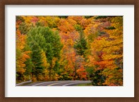 Framed Autumn Color Along Highway 26 Near Houghton, Michigan