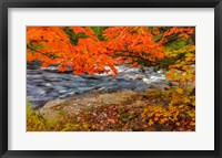 Framed Sturgeon River In Autumn Near Alberta, Michigan