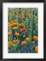 Framed Springtime Bloom Next To Chanticleer House, Chanticleer Garden, Pennsylvania