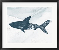 Framed Shark