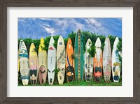 Framed Surfboards