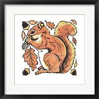 Squirrel Framed Print