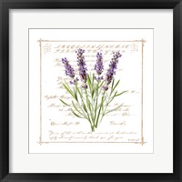 Framed 'Floral III' border=