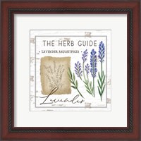 Framed 'Herb Guide - Lavender' border=