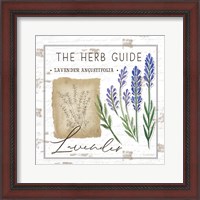 Framed 'Herb Guide - Lavender' border=