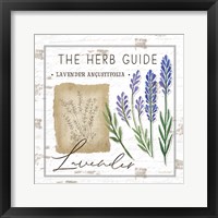 Framed 'Herb Guide - Lavender' border=