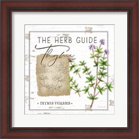 Framed 'Herb Guide - Thyme' border=