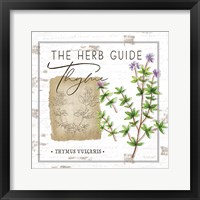 Framed 'Herb Guide - Thyme' border=