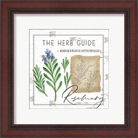 Framed 'Herb Guide - Rosemary' border=