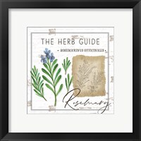 Framed 'Herb Guide - Rosemary' border=