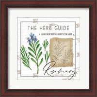 Framed 'Herb Guide - Rosemary' border=