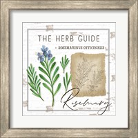 Framed 'Herb Guide - Rosemary' border=