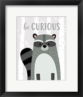 Framed Be Curious Raccoon