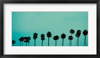 Framed Palms in Color