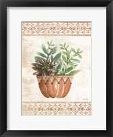 Framed Southwest Terracotta Succulents I