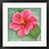 Framed Hibiscus II