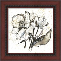 Framed 'Elegance III' border=