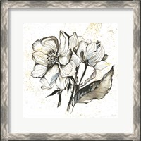 Framed 'Elegance III' border=