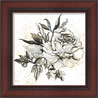 Framed 'Elegance II' border=