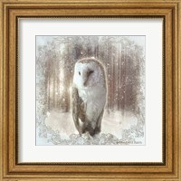 Framed 'Enchanted Winter Owl' border=