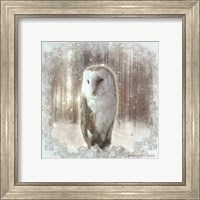 Framed 'Enchanted Winter Owl' border=