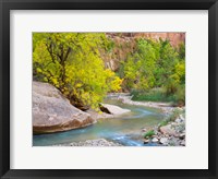 Framed Utah Zion National Park, Virgin River