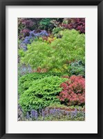 Framed Spring Color With Deer Proof Shrubs And Trees, Sammamish, Washington State