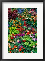 Framed Garden In Full Bloom, Sammamish, Washington State