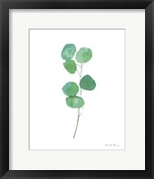 Fresh and Green VIII Framed Print