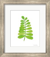 Framed 'Fresh and Green II' border=