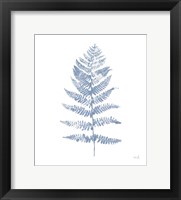 Framed Fern Print II Blue No Shiplap