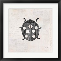 Framed 'Ladybug Stamp BW' border=