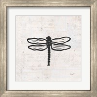 Framed 'Dragonfly Stamp BW' border=