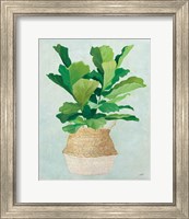 Framed 'Woven Palm II' border=